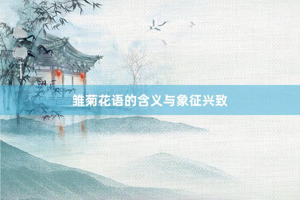雏菊花语的含义与象征兴致